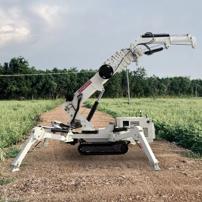 Compact Crawler Boom Lift - Mini-grue araignée compacte, capacité de levage