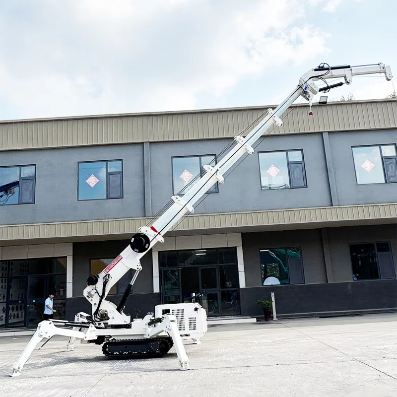 Mini-grue araignée compacte, c - Compact Crawler Boom Lift avis et prix
